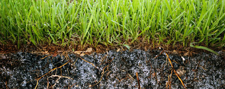 Topsoil